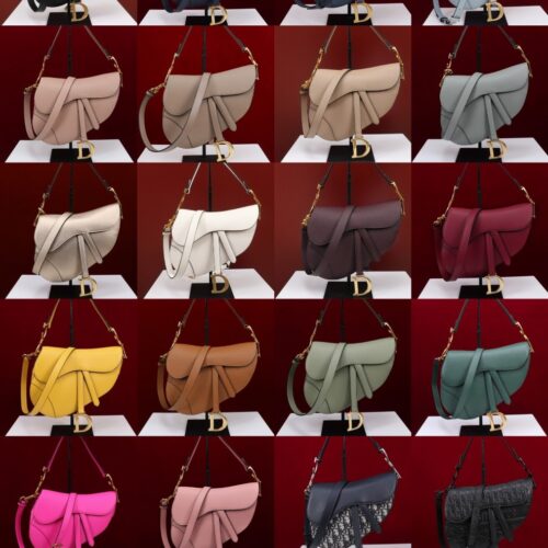 Dior Saddle Bag